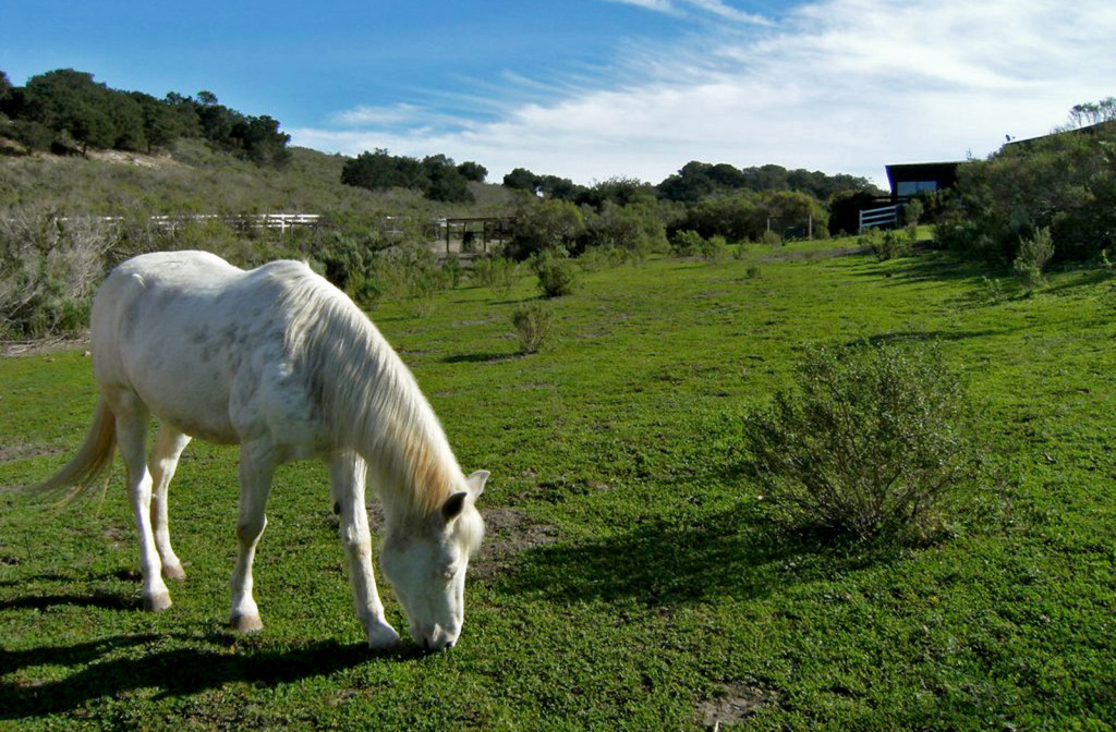 skyranch-background-05