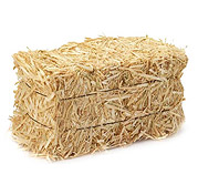 Bale of Hay